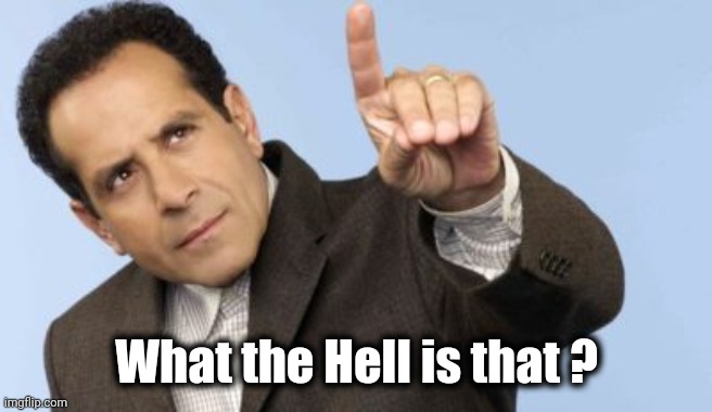 Adrian Monk point up | What the Hell is that ? | image tagged in adrian monk point up | made w/ Imgflip meme maker