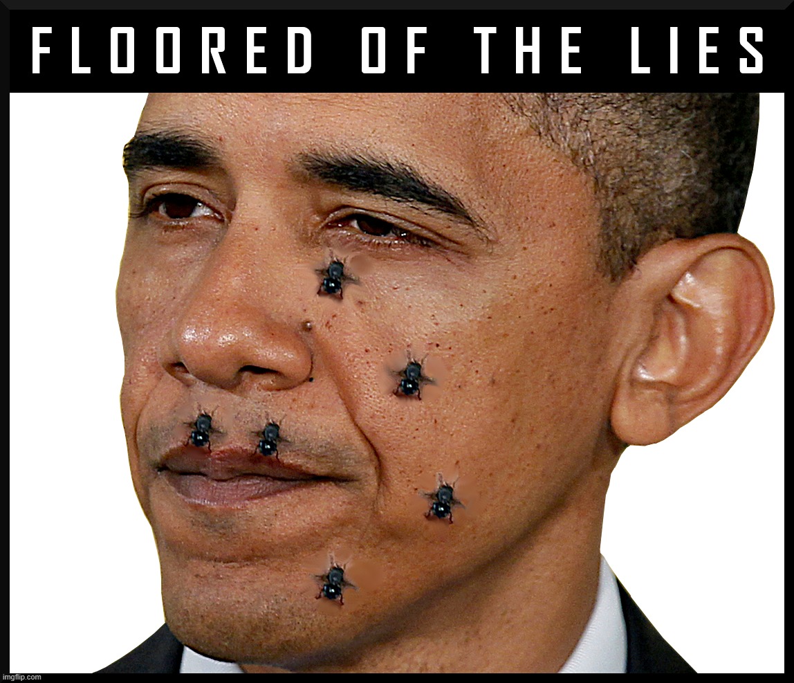 LORD OF THE FLIES... or...? | image tagged in barack obama,obama,flies,lord of the flies,lies,liar | made w/ Imgflip meme maker