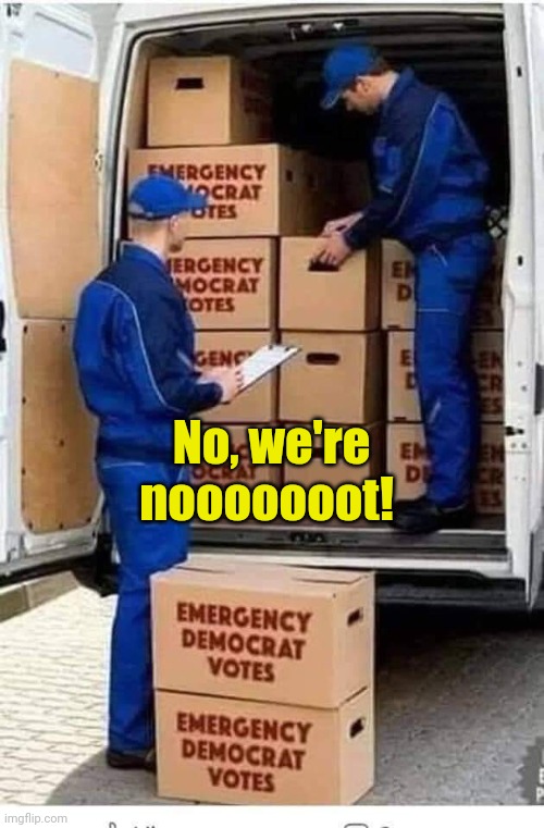 Emergency Democrat Votes | No, we're nooooooot! | image tagged in emergency democrat votes | made w/ Imgflip meme maker