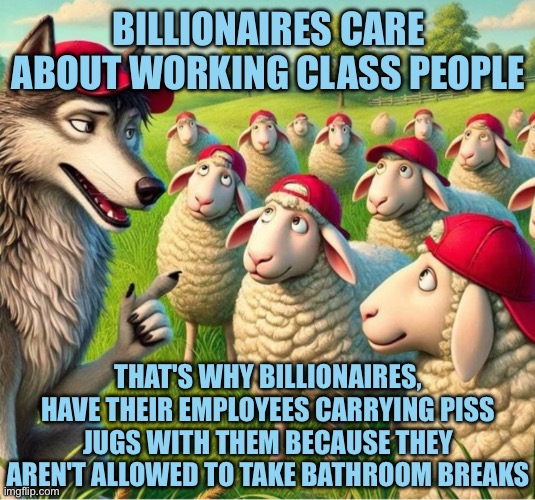 Maga are sheep | BILLIONAIRES CARE ABOUT WORKING CLASS PEOPLE; THAT'S WHY BILLIONAIRES, HAVE THEIR EMPLOYEES CARRYING PISS JUGS WITH THEM BECAUSE THEY AREN'T ALLOWED TO TAKE BATHROOM BREAKS | image tagged in maga are sheep | made w/ Imgflip meme maker