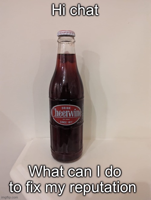 Cheerwine | Hi chat; What can I do to fix my reputation | image tagged in cheerwine | made w/ Imgflip meme maker