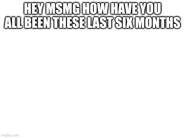 HEY MSMG HOW HAVE YOU ALL BEEN THESE LAST SIX MONTHS | made w/ Imgflip meme maker