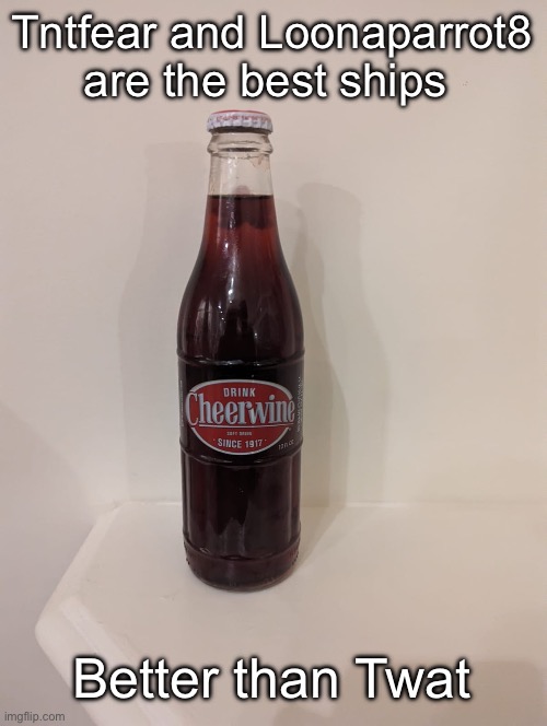 Cheerwine | Tntfear and Loonaparrot8 are the best ships; Better than Twat | image tagged in cheerwine | made w/ Imgflip meme maker