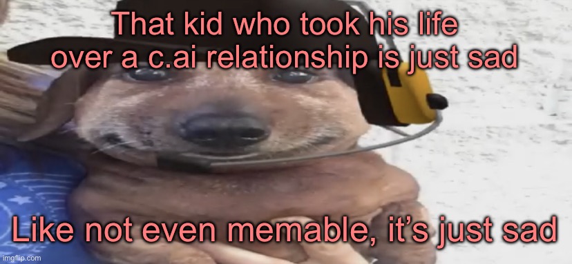 I feel bad because the kid had some issues and the parents still kept a firearm in the house being aware of these issues | That kid who took his life over a c.ai relationship is just sad; Like not even memable, it’s just sad | image tagged in chucklenuts | made w/ Imgflip meme maker