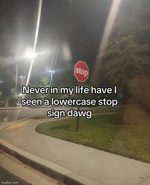 its lowercase because its had a long day and is too tired to scream >:( | made w/ Imgflip meme maker