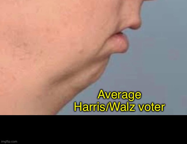 Harris Walz Voter | Average Harris/Walz voter | image tagged in vote,president,presidential race,donald trump | made w/ Imgflip meme maker