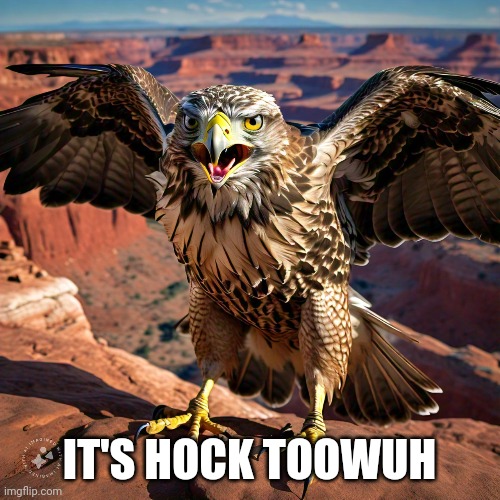 Hawk wants its honor back | IT'S HOCK TOOWUH | image tagged in hawk tuah,honor | made w/ Imgflip meme maker