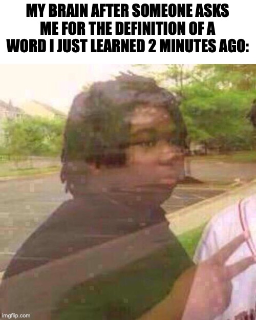 relatable memez | MY BRAIN AFTER SOMEONE ASKS ME FOR THE DEFINITION OF A WORD I JUST LEARNED 2 MINUTES AGO: | image tagged in guy fades away,my brain,memes,relatable memes,why are you reading this | made w/ Imgflip meme maker