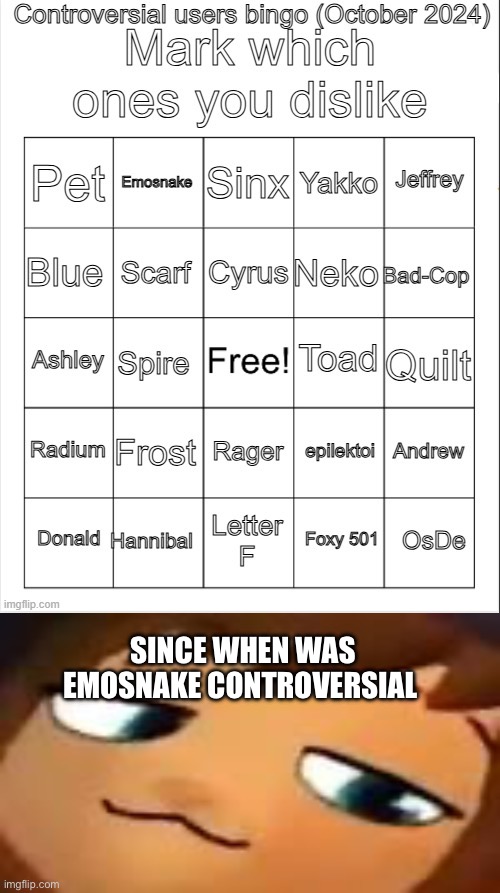 SINCE WHEN WAS EMOSNAKE CONTROVERSIAL | image tagged in controversial users bingo october 2024 by neko,smug hat kid mp4 | made w/ Imgflip meme maker