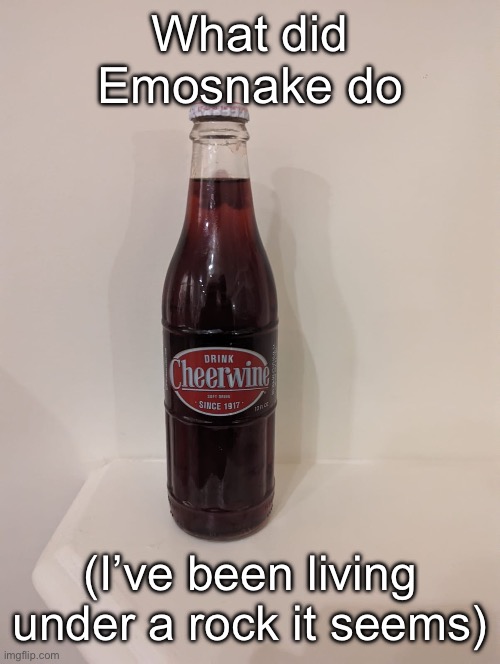 Cheerwine | What did Emosnake do; (I’ve been living under a rock it seems) | image tagged in cheerwine | made w/ Imgflip meme maker