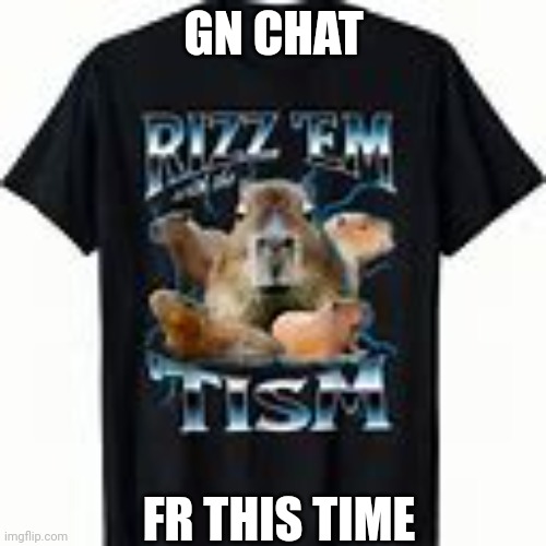 GN CHAT; FR THIS TIME | made w/ Imgflip meme maker