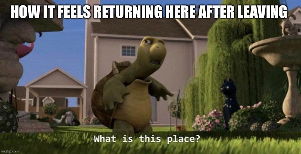 What is this place | HOW IT FEELS RETURNING HERE AFTER LEAVING | image tagged in what is this place | made w/ Imgflip meme maker