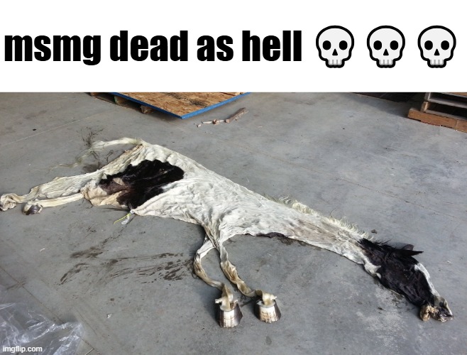 Deflated horse | msmg dead as hell 💀💀💀 | image tagged in deflated horse | made w/ Imgflip meme maker