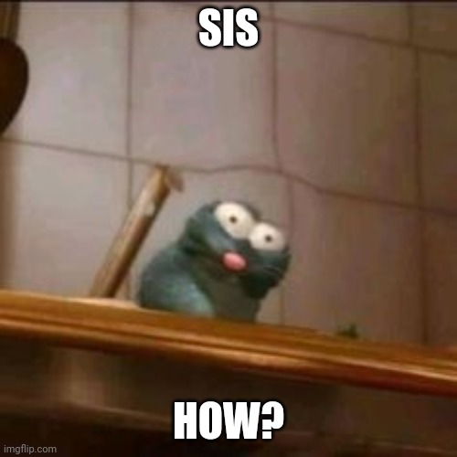 Wait wut | SIS HOW? | image tagged in wait wut | made w/ Imgflip meme maker