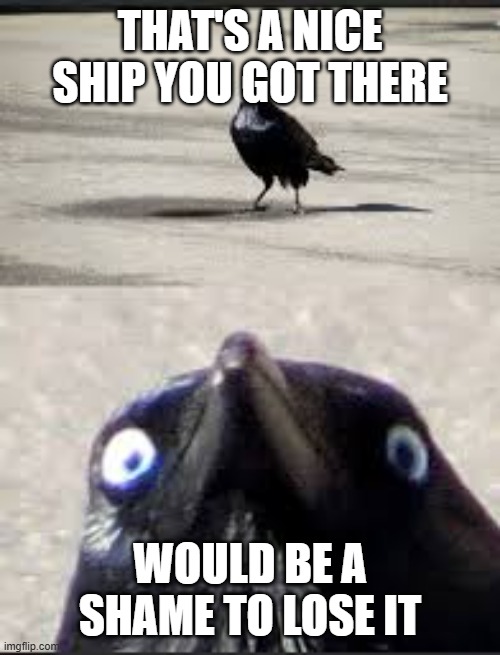 It would be a shame bird | THAT'S A NICE SHIP YOU GOT THERE; WOULD BE A SHAME TO LOSE IT | image tagged in it would be a shame bird | made w/ Imgflip meme maker