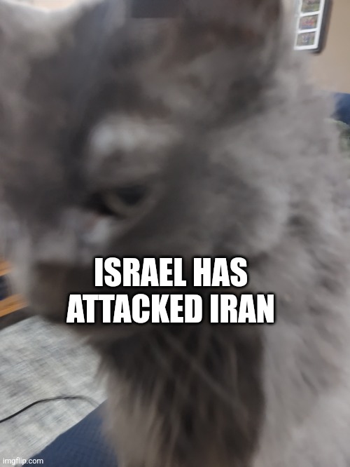 ㅤ | ISRAEL HAS ATTACKED IRAN | image tagged in 32's cat | made w/ Imgflip meme maker