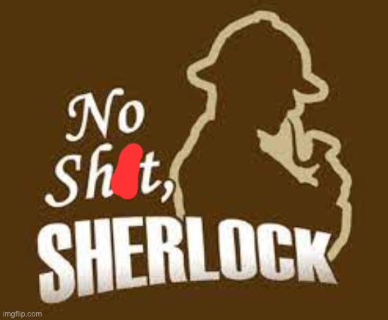 No shit sherlock | image tagged in no shit sherlock | made w/ Imgflip meme maker