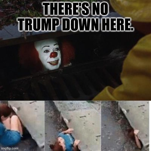 dems taste funny | THERE'S NO TRUMP DOWN HERE. | image tagged in pennywise in sewer | made w/ Imgflip meme maker