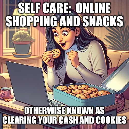 Self care | SELF CARE:  ONLINE SHOPPING AND SNACKS; OTHERWISE KNOWN AS CLEARING YOUR CASH AND COOKIES | image tagged in self help | made w/ Imgflip meme maker