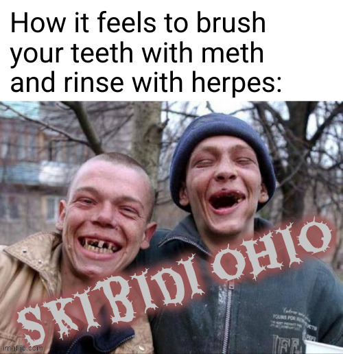 skibidi ohio | How it feels to brush
your teeth with meth
and rinse with herpes: | image tagged in skibidi ohio | made w/ Imgflip meme maker