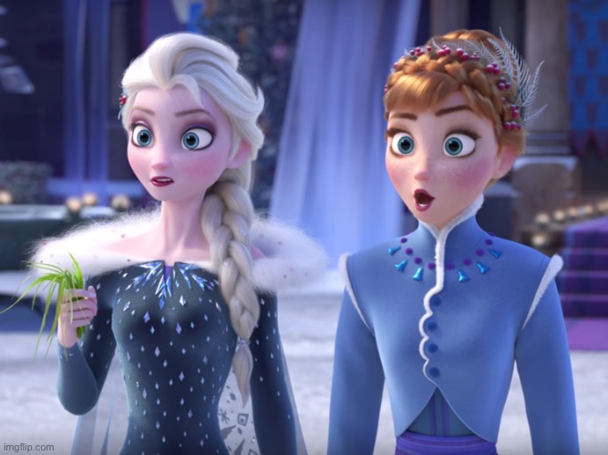 Elsa and Anna SHOCKED! | image tagged in elsa and anna shocked | made w/ Imgflip meme maker