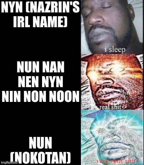 someone got banned/bans | NYN (NAZRIN'S IRL NAME); NUN NAN NEN NYN NIN NON NOON; NUN (NOKOTAN) | image tagged in i sleep real shit very real shit | made w/ Imgflip meme maker