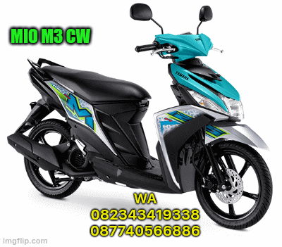 Mio M3 Makassar | WA 082343419338 087740566886 MIO M3 CW | image tagged in gifs | made w/ Imgflip images-to-gif maker