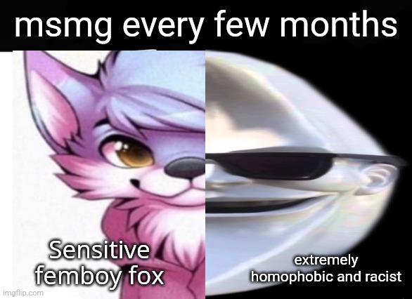 I have 2 sides | msmg every few months; extremely homophobic and racist | image tagged in i have 2 sides | made w/ Imgflip meme maker