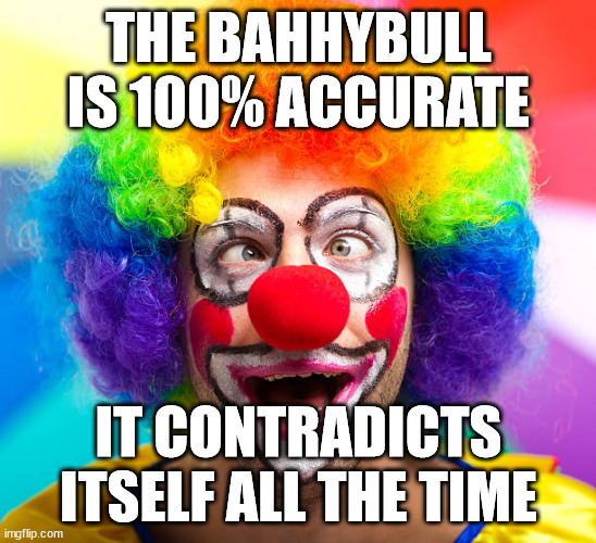 Bible contradicts | THE BAHHYBULL IS 100% ACCURATE; IT CONTRADICTS ITSELF ALL THE TIME | image tagged in funny | made w/ Imgflip meme maker