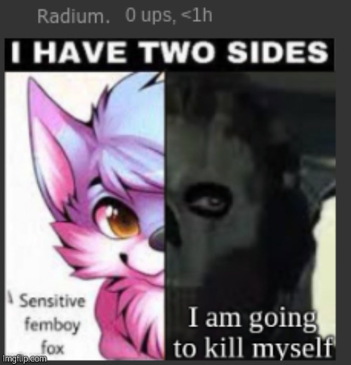 Radium Femboy Fox | image tagged in radium femboy fox | made w/ Imgflip meme maker