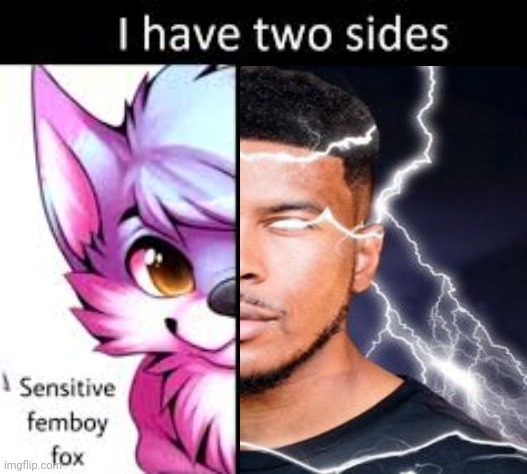 I have two sides | image tagged in i have two sides | made w/ Imgflip meme maker