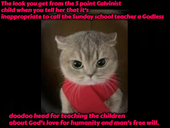 DooDoo Head | The look you get from the 5 point Calvinist child when you tell her that it's inappropriate to call the Sunday school teacher a Godless; doodoo head for teaching the children about God's love for humanity and man's free will. | image tagged in calvinism,arminian,molinism,funny,cute,calvinist child behaving badly | made w/ Imgflip meme maker