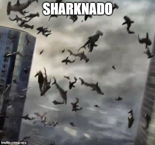 Sharknado | SHARKNADO | image tagged in sharknado | made w/ Imgflip meme maker