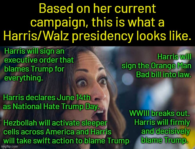 She's a one trick pony.  All she has is blame and hate Trump at all costs. | Based on her current campaign, this is what a Harris/Walz presidency looks like. Harris will sign an
executive order that
blames Trump for
everything. Harris will sign the Orange Man Bad bill into law. Harris declares June 14th as National Hate Trump Day. WWIII breaks out.
Harris will firmly
and decisively
blame Trump. Hezbollah will activate sleeper cells across America and Harris will take swift action to blame Trump | image tagged in kamala harriss,blame trump first,blame trump always | made w/ Imgflip meme maker