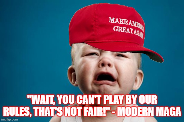 BABY CRYING | "WAIT, YOU CAN'T PLAY BY OUR RULES, THAT'S NOT FAIR!" - MODERN MAGA | image tagged in baby crying | made w/ Imgflip meme maker