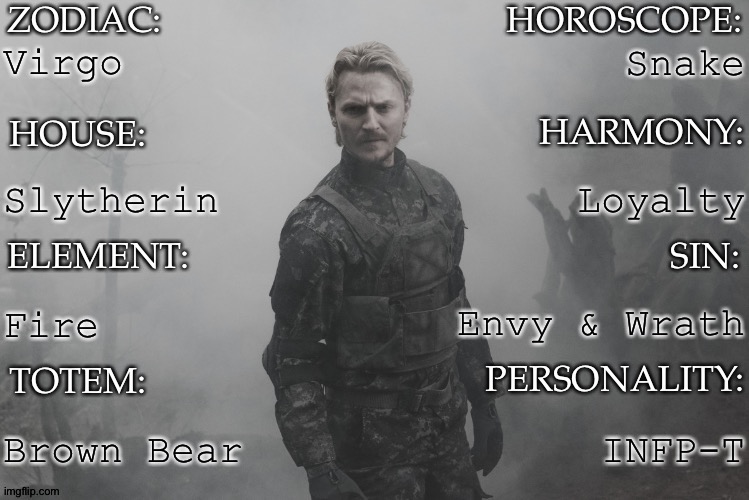 So I Made A Thing | Virgo; Snake; Loyalty; Slytherin; Fire; Envy & Wrath; Brown Bear; INFP-T | image tagged in another template thingy by km,repost your own answers,thought thisd be fun to try,if you need help i can add links | made w/ Imgflip meme maker