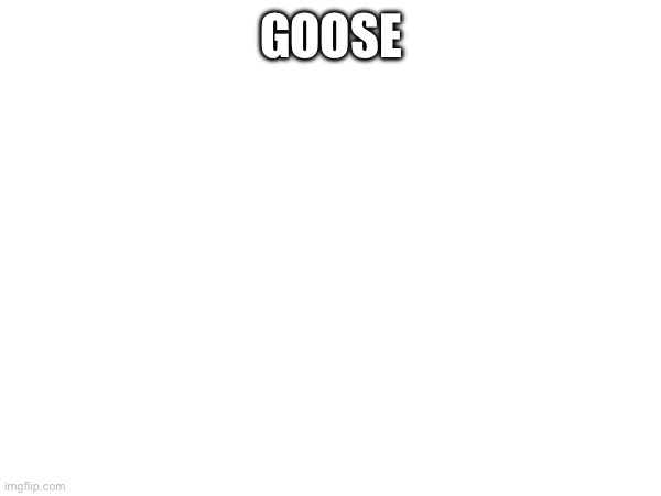 GOOSE | made w/ Imgflip meme maker