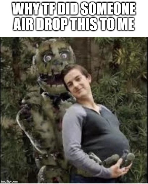 matpat x springtrap | WHY TF DID SOMEONE AIR DROP THIS TO ME | image tagged in matpat x springtrap,video games,game theory,good bye matpat | made w/ Imgflip meme maker