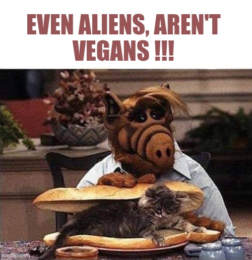 It should make them think. | EVEN ALIENS, AREN'T
VEGANS !!! | image tagged in funny,memes,vegan,alf,mental illness,stop it get some help | made w/ Imgflip meme maker