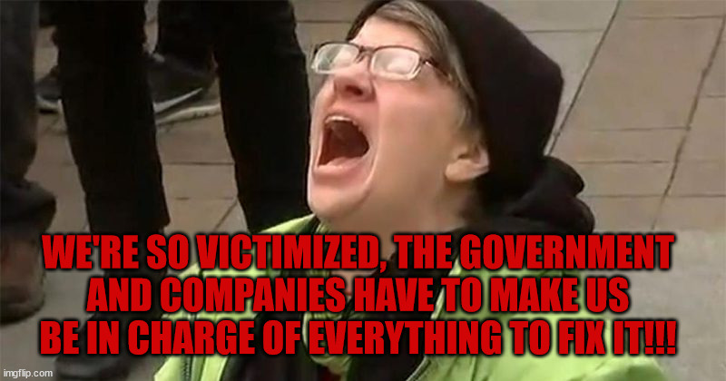 Playing the Victim | WE'RE SO VICTIMIZED, THE GOVERNMENT AND COMPANIES HAVE TO MAKE US BE IN CHARGE OF EVERYTHING TO FIX IT!!! | image tagged in crying liberal,government control,tyrany starts,dei,comporations,cry bully | made w/ Imgflip meme maker