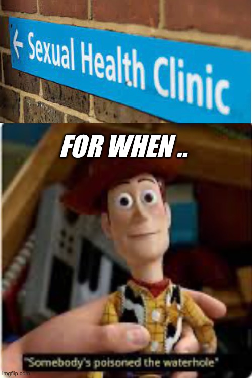 Ride ‘em cowboy. | FOR WHEN .. | image tagged in std,clap clinic,woody,toy story,dark humour | made w/ Imgflip meme maker