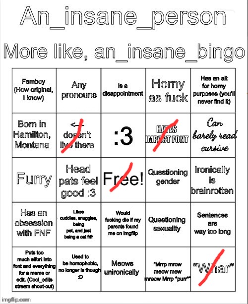 I'm not an insane person | image tagged in an_insane_bingo slight update | made w/ Imgflip meme maker