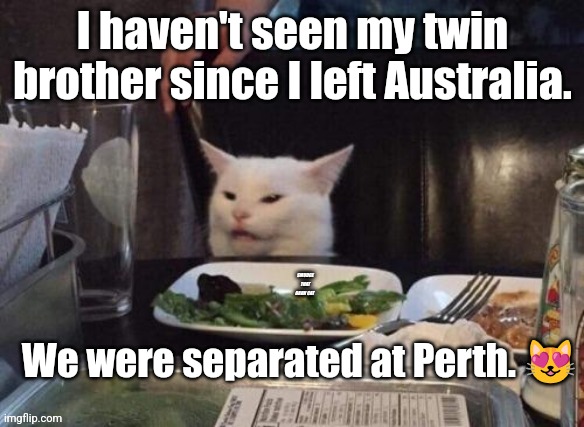 Smudge Down Under | I haven't seen my twin brother since I left Australia. We were separated at Perth. 😻 | image tagged in smudge that darn cat,smudge,cats,australia,funny | made w/ Imgflip meme maker