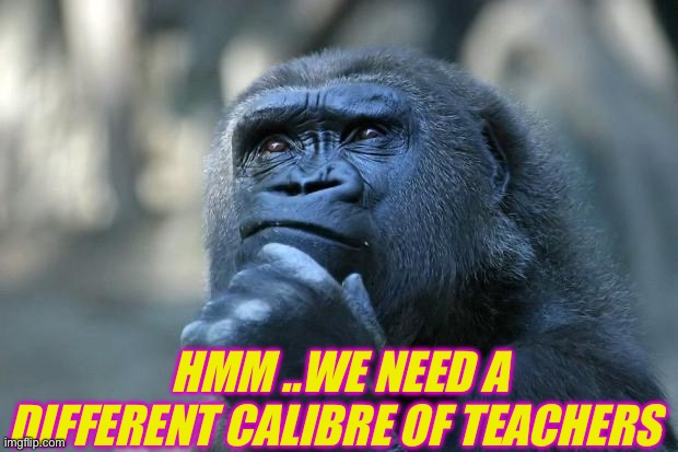 Deep Thoughts | HMM ..WE NEED A DIFFERENT CALIBRE OF TEACHERS | image tagged in deep thoughts | made w/ Imgflip meme maker