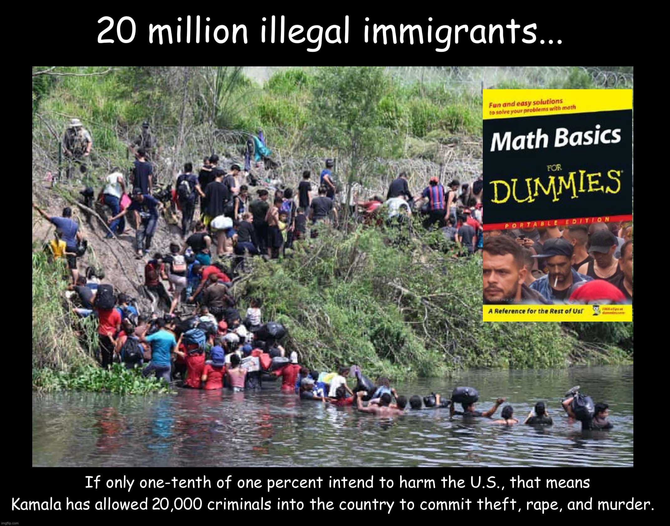 Do The Math! | image tagged in immigration,kamala,vote trump | made w/ Imgflip meme maker