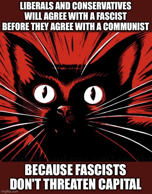 It's true | LIBERALS AND CONSERVATIVES WILL AGREE WITH A FASCIST BEFORE THEY AGREE WITH A COMMUNIST; BECAUSE FASCISTS DON'T THREATEN CAPITAL | image tagged in sabo tabby cat | made w/ Imgflip meme maker