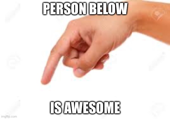 the person below | PERSON BELOW; IS AWESOME | image tagged in the person below | made w/ Imgflip meme maker