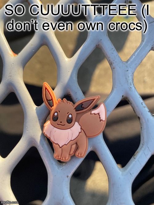 SO CUUUUTTTEEE (I don’t even own crocs) | made w/ Imgflip meme maker