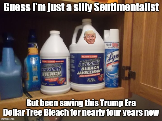 Jo & the Ho     DID THAT | Guess I'm just a silly Sentimentalist; But been saving this Trump Era Dollar Tree Bleach for nearly four years now | image tagged in dollar tree bleach trump meme | made w/ Imgflip meme maker