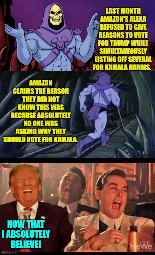 It makes sense now. | LAST MONTH AMAZON'S ALEXA REFUSED TO GIVE REASONS TO VOTE FOR TRUMP WHILE SIMULTANEOUSLY LISTING OFF SEVERAL FOR KAMALA HARRIS. AMAZON CLAIMS THE REASON THEY DID NOT KNOW THIS WAS BECAUSE ABSOLUTELY NO ONE WAS ASKING WHY THEY SHOULD VOTE FOR KAMALA. NOW THAT I ABSOLUTELY BELIEVE! | image tagged in he man skeleton advices | made w/ Imgflip meme maker